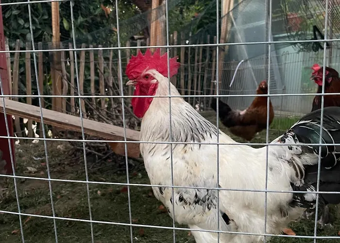 Appartamento Geng Uberlingen